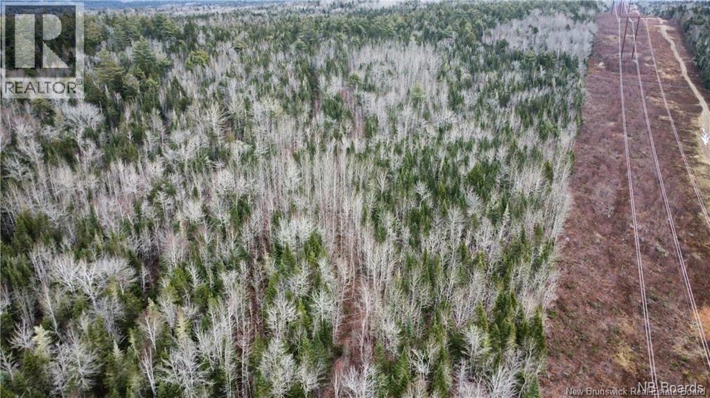 Lot Route 735, Mayfield, New Brunswick E3L 5M9 - Photo 4 - NB130158