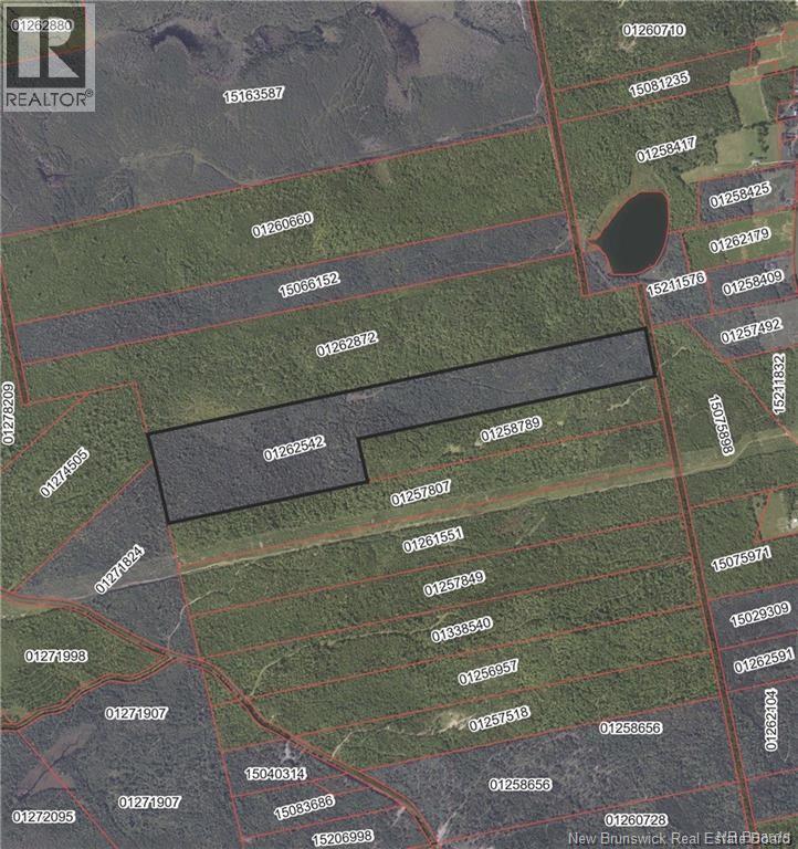 Lot Scotch Ridge Road, Hayman Hill, New Brunswick  E3L 5A8 - Photo 1 - NB130157