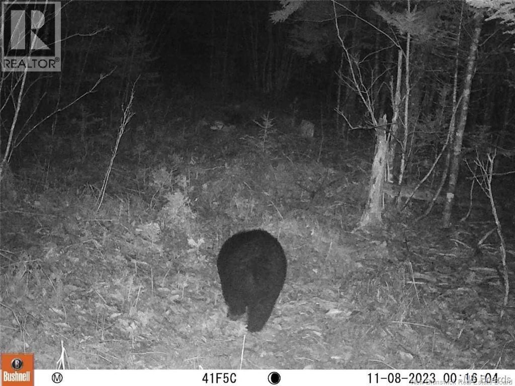 Lot Scotch Ridge Road, Hayman Hill, New Brunswick  E3L 5A8 - Photo 3 - NB130157