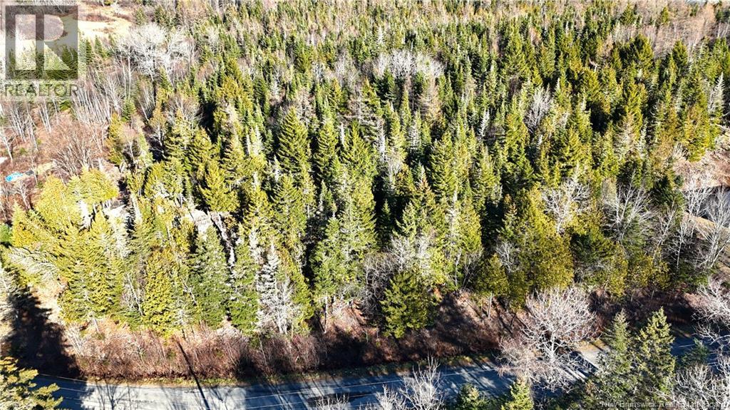 43 Spur No.1 Road, Bocabec, New Brunswick  E5B 3K1 - Photo 21 - NB129658