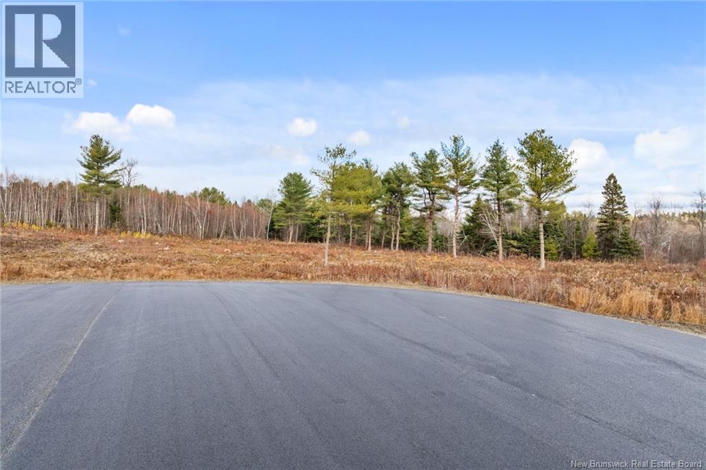 23-9 Finn Crescent, Nackawic, New Brunswick  E6G 1W1 - Photo 22 - NB130194