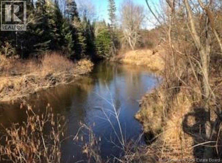 Lot 3227 Route 495, South Branch, New Brunswick  E4W 3L6 - Photo 2 - NB130228