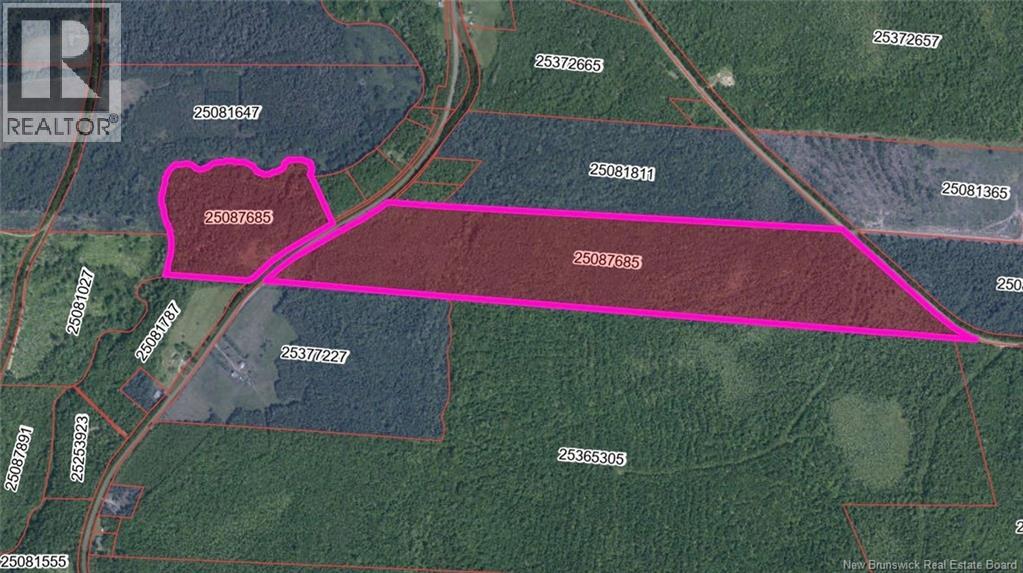 Lot 3227 Route 495, South Branch, New Brunswick  E4W 3L6 - Photo 5 - NB130228