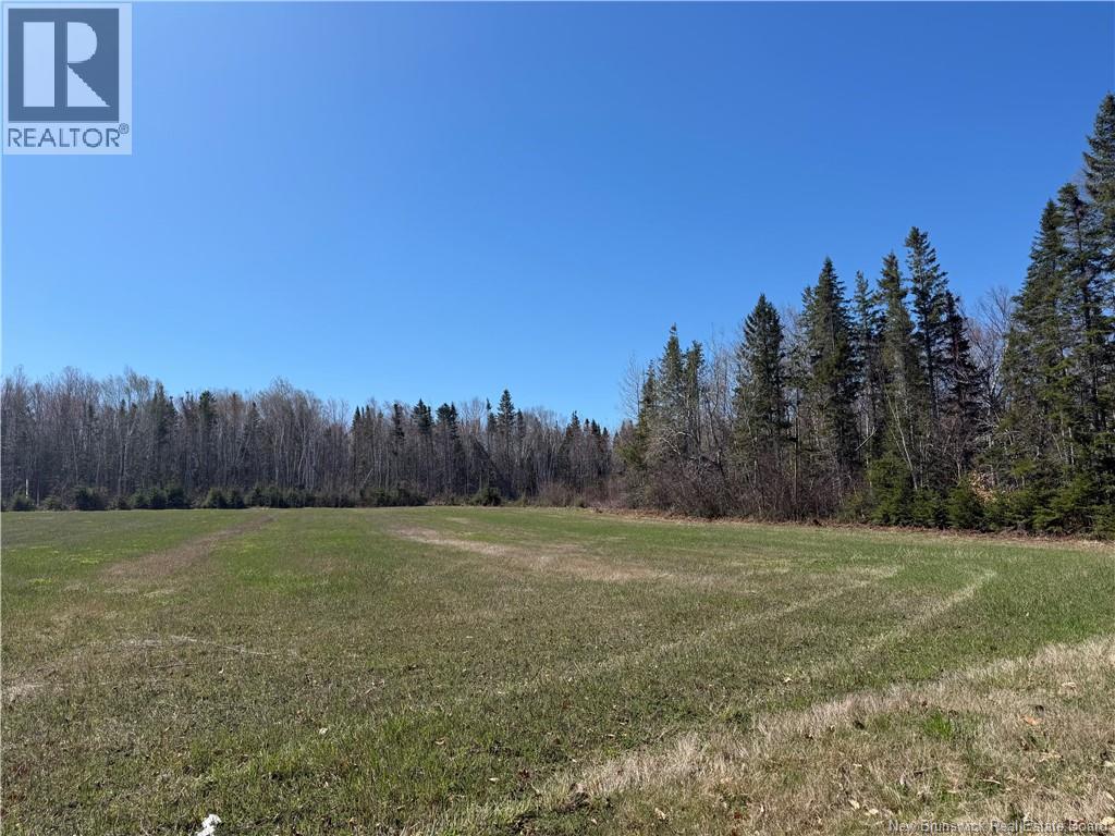 Route 340, Canobie, New Brunswick  E2A 5E7 - Photo 10 - NB130343