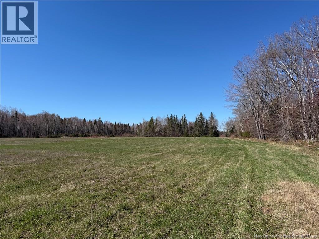 Route 340, Canobie, New Brunswick  E2A 5E7 - Photo 11 - NB130343