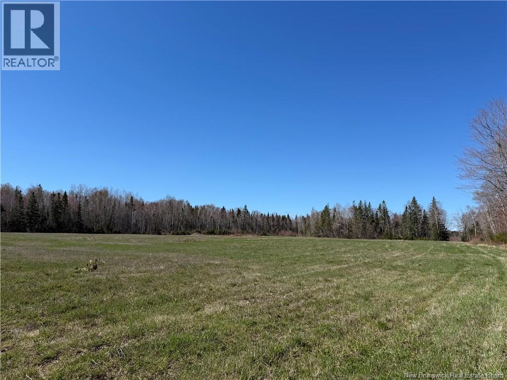 Route 340, Canobie, New Brunswick  E2A 5E7 - Photo 12 - NB130343