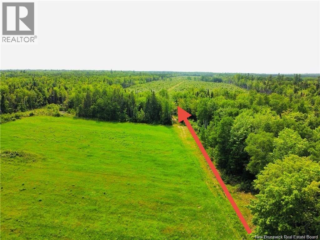 Route 340, New Bandon, New Brunswick  E2A 5E7 - Photo 3 - NB130343