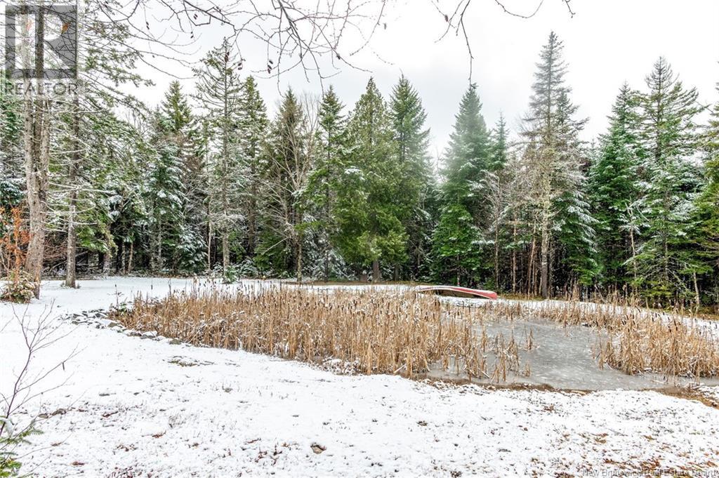 103 Backland Road, Kingston, New Brunswick  E5N 1E4 - Photo 47 - NB130347