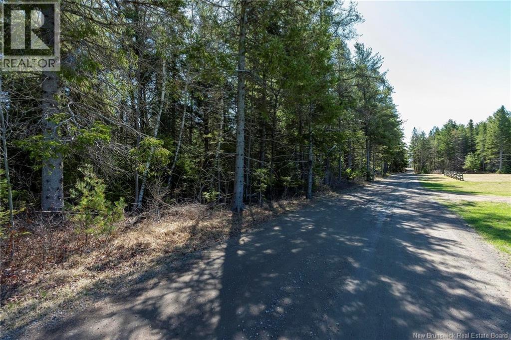 25 Ferry Road, Jardineville, New Brunswick  E4W 2H4 - Photo 12 - NB130358