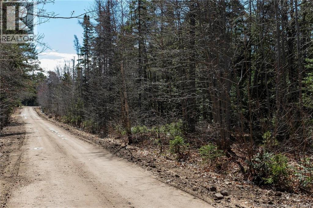 25 Ferry Road, Jardineville, New Brunswick  E4W 2H4 - Photo 13 - NB130358