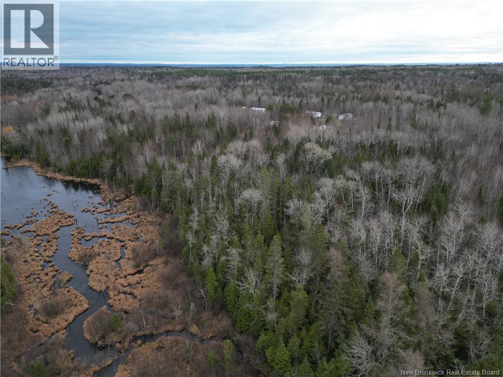 Avon Road, New Avon, New Brunswick  E4B 3T3 - Photo 12 - NB130235