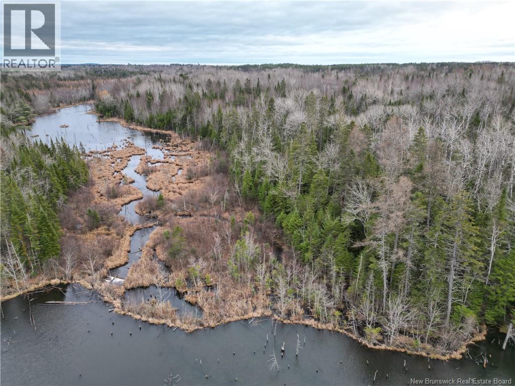 Avon Road, New Avon, New Brunswick  E4B 3T3 - Photo 13 - NB130235