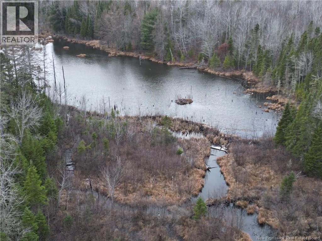 Avon Road, New Avon, New Brunswick  E4B 3T3 - Photo 15 - NB130235