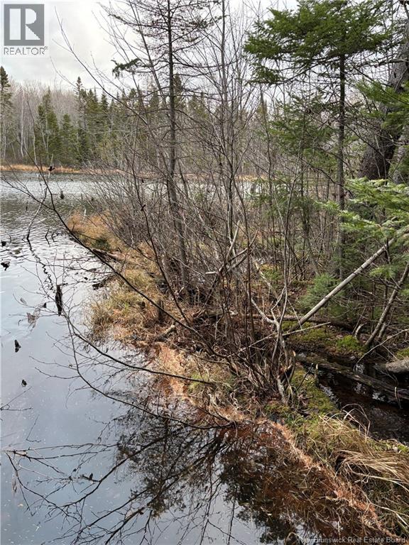 Avon Road, New Avon, New Brunswick  E4B 3T3 - Photo 16 - NB130235