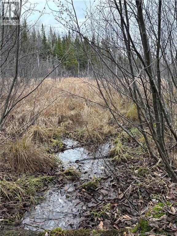 Avon Road, New Avon, New Brunswick  E4B 3T3 - Photo 17 - NB130235