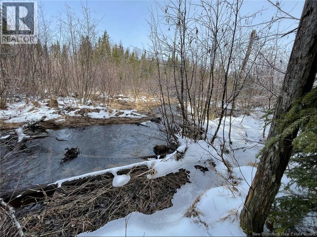 Avon Road, New Avon, New Brunswick  E4B 3T3 - Photo 18 - NB130235