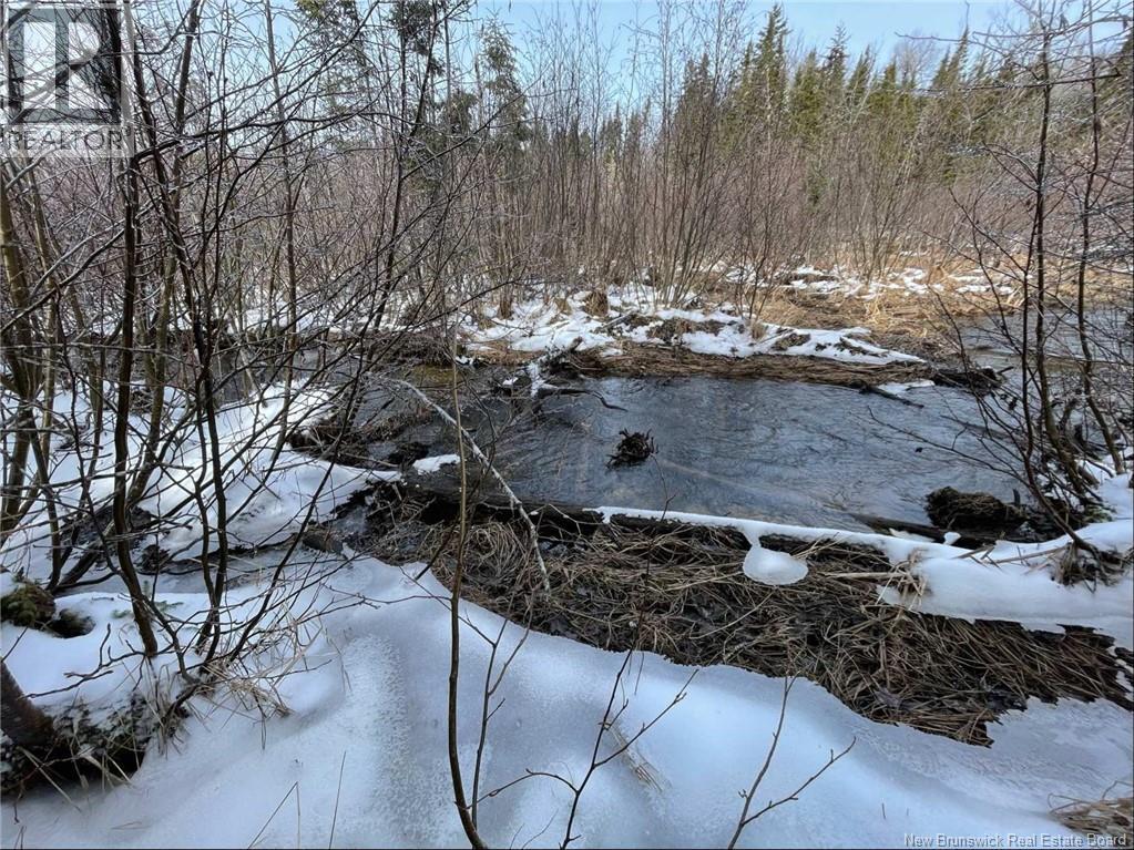 Avon Road, New Avon, New Brunswick  E4B 3T3 - Photo 19 - NB130235