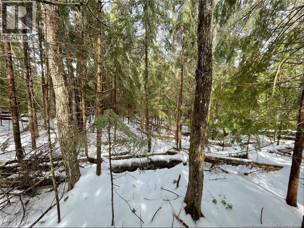 Avon Road, New Avon, New Brunswick  E4B 3T3 - Photo 20 - NB130235