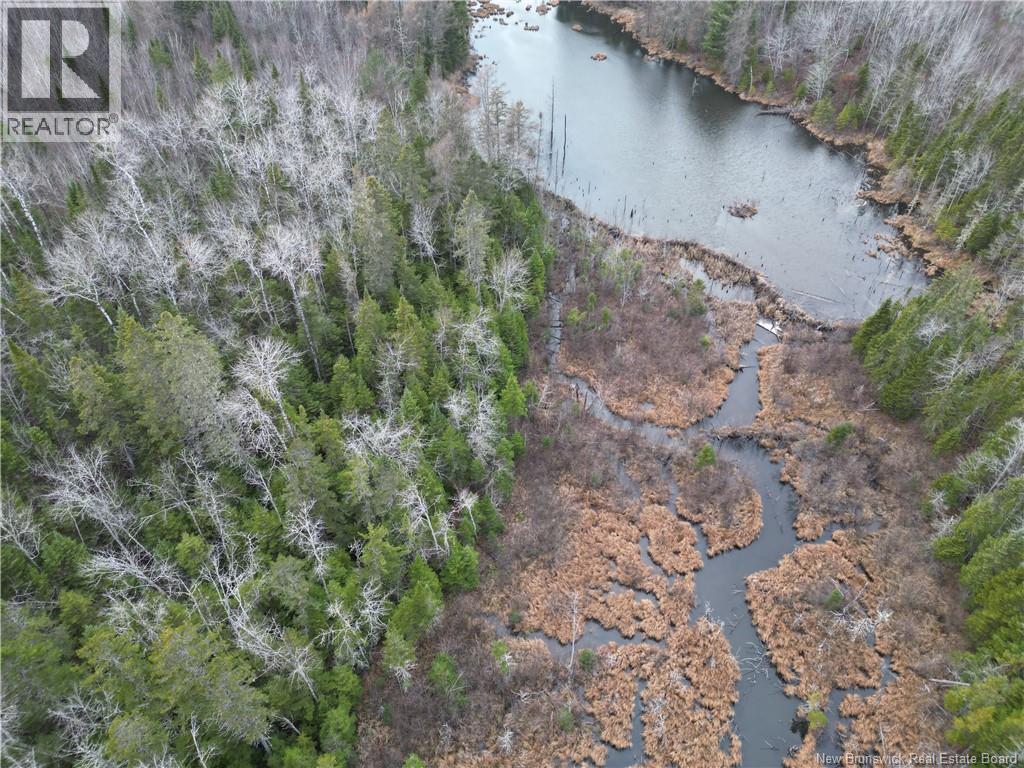Avon Road, New Avon, New Brunswick  E4B 3T3 - Photo 21 - NB130235