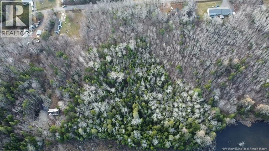 Avon Road, New Avon, New Brunswick  E4B 3T3 - Photo 23 - NB130235