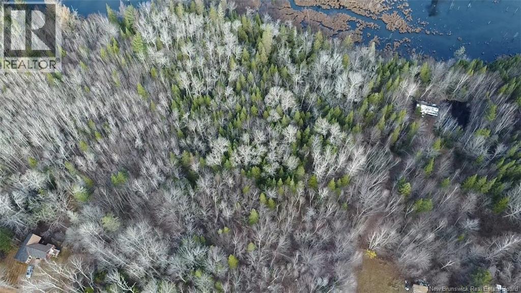 Avon Road, New Avon, New Brunswick  E4B 3T3 - Photo 24 - NB130235
