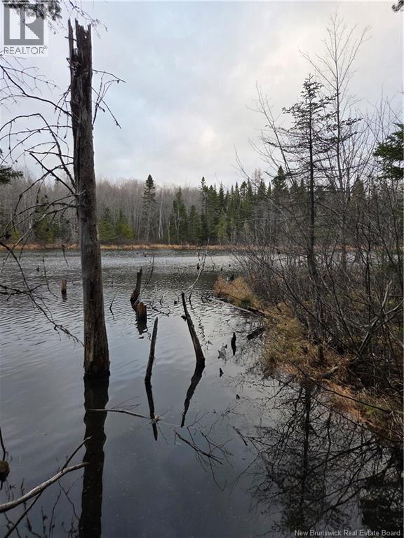 Avon Road, New Avon, New Brunswick  E4B 3T3 - Photo 25 - NB130235