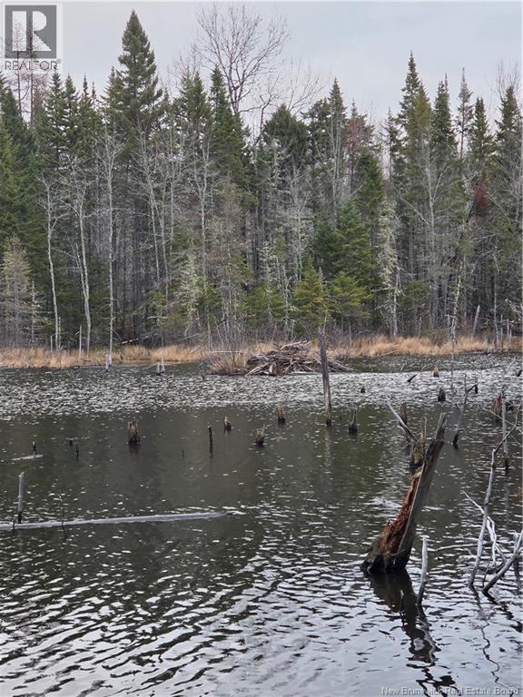 Avon Road, New Avon, New Brunswick  E4B 3T3 - Photo 3 - NB130235