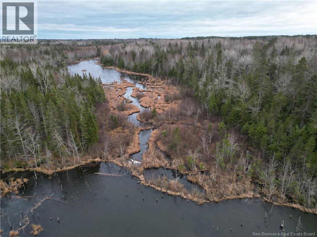 Avon Road, New Avon, New Brunswick  E4B 3T3 - Photo 7 - NB130235