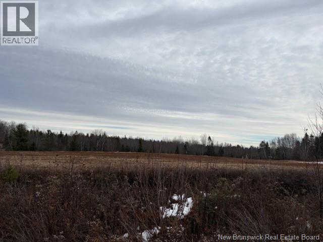 00 Route 3, Old Ridge, New Brunswick  E3L 5Z3 - Photo 5 - NB130380