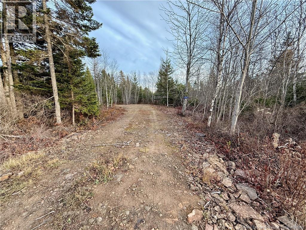 1192 Rte 935, Rockport, New Brunswick  E4K 3N1 - Photo 10 - NB130473