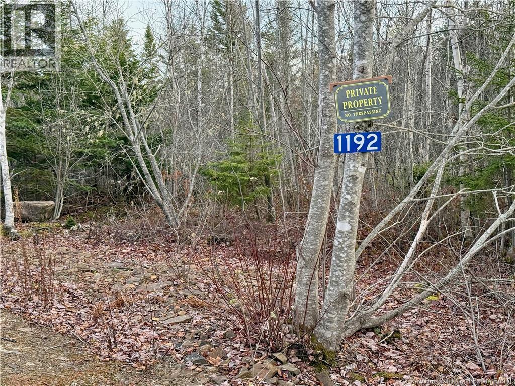 1192 Rte 935, Rockport, New Brunswick  E4K 3N1 - Photo 11 - NB130473