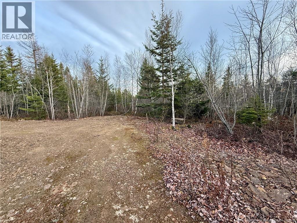 1192 Rte 935, Rockport, New Brunswick  E4K 3N1 - Photo 13 - NB130473