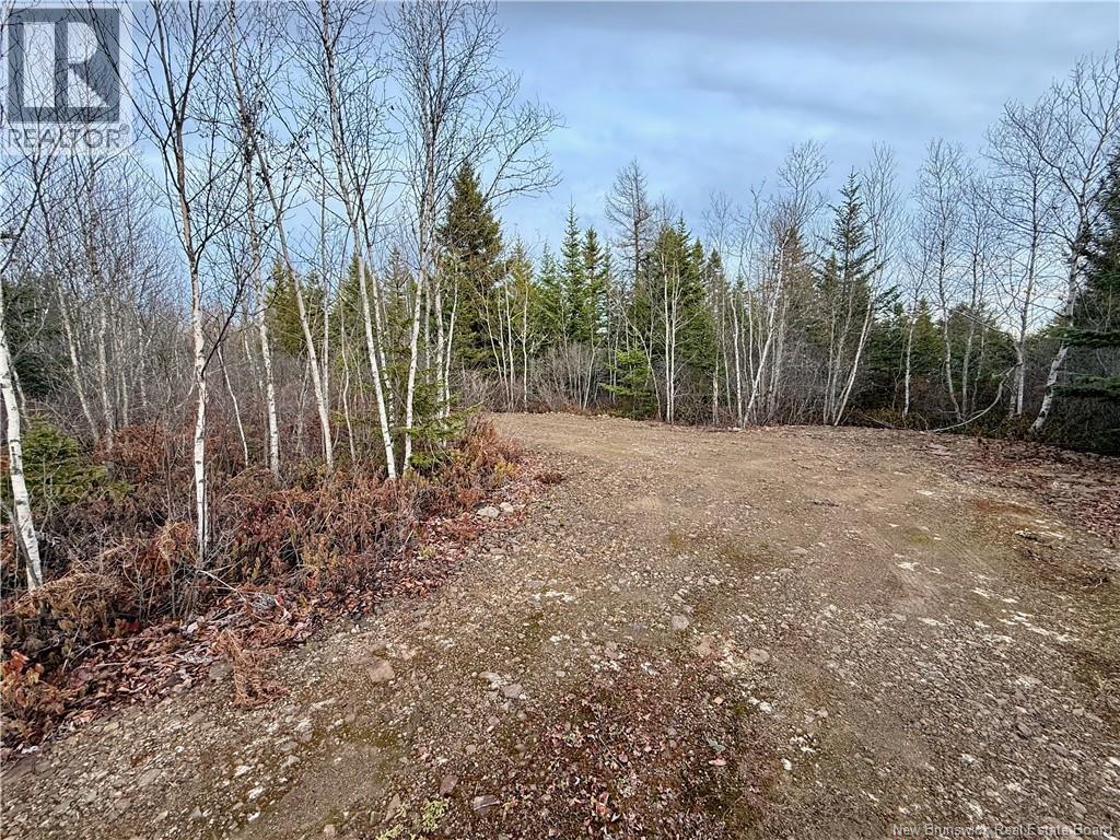 1192 Rte 935, Rockport, New Brunswick  E4K 3N1 - Photo 14 - NB130473