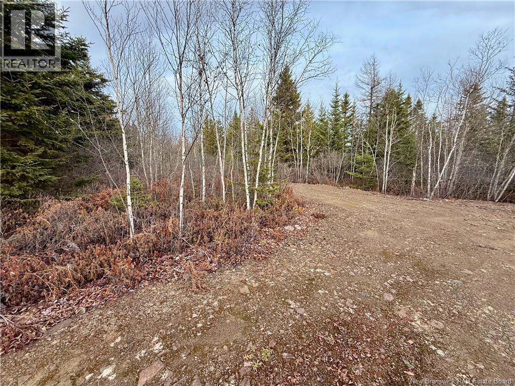1192 Rte 935, Rockport, New Brunswick  E4K 3N1 - Photo 15 - NB130473
