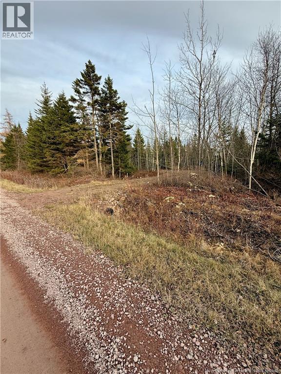 1192 Rte 935, Rockport, New Brunswick  E4K 3N1 - Photo 5 - NB130473