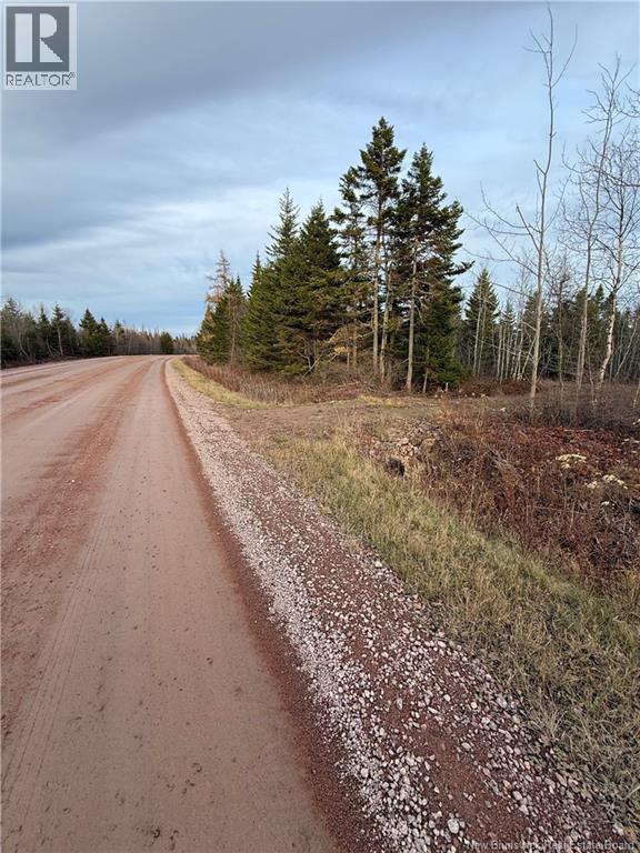 1192 Rte 935, Rockport, New Brunswick  E4K 3N1 - Photo 6 - NB130473