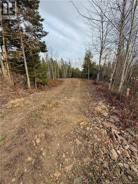 1192 Rte 935, Rockport, New Brunswick  E4K 3N1 - Photo 7 - NB130473
