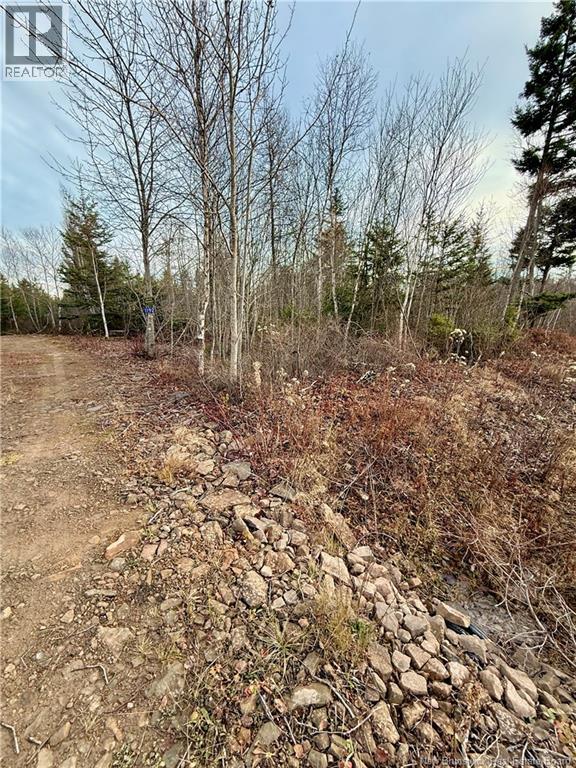 1192 Rte 935, Rockport, New Brunswick  E4K 3N1 - Photo 8 - NB130473