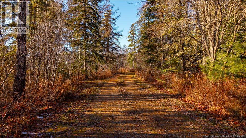 11 Coffey Lane, Oak Bay, New Brunswick  E3L 3W2 - Photo 38 - NB130441