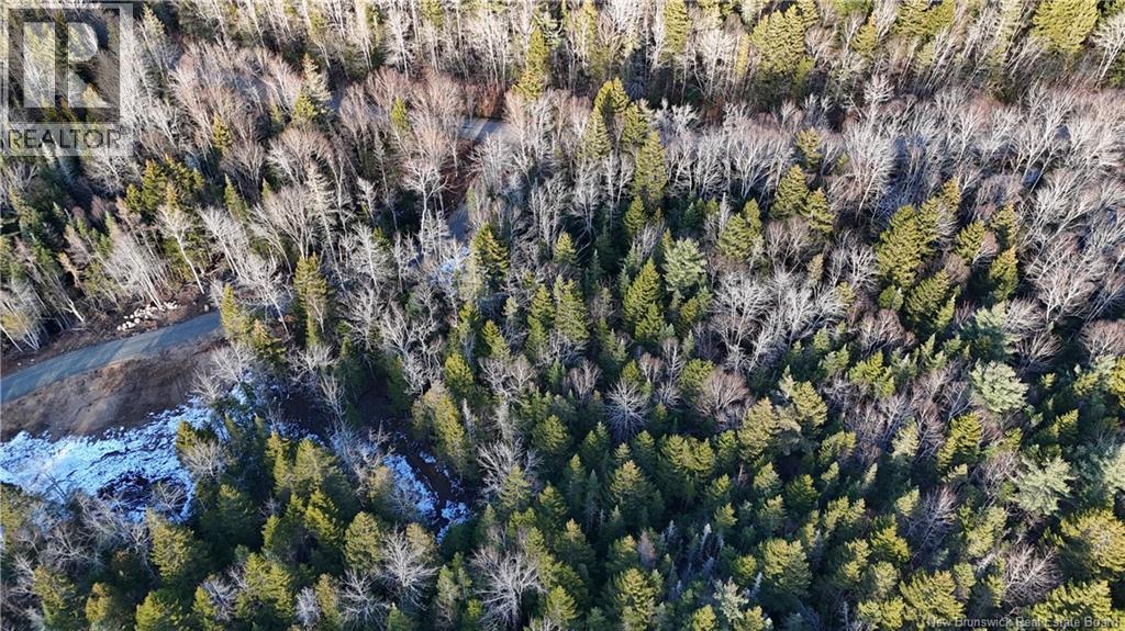 Canal Road, Canal, New Brunswick  E5C 1H1 - Photo 4 - NB130366