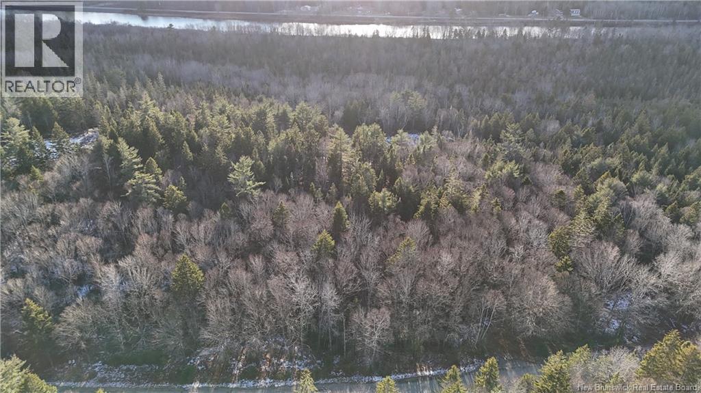 Canal Road, Canal, New Brunswick  E5C 1H1 - Photo 5 - NB130366