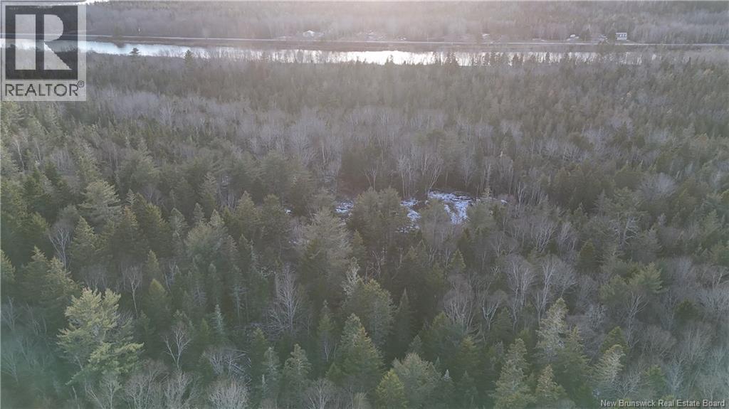 Canal Road, Canal, New Brunswick  E5C 1H1 - Photo 7 - NB130366