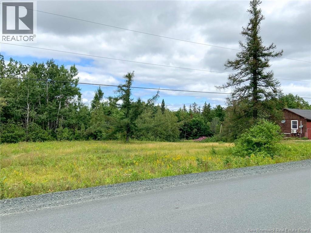 11.2 Acres South Black River, Black River Bridge, New Brunswick  E1N 5S8 - Photo 26 - NB130534