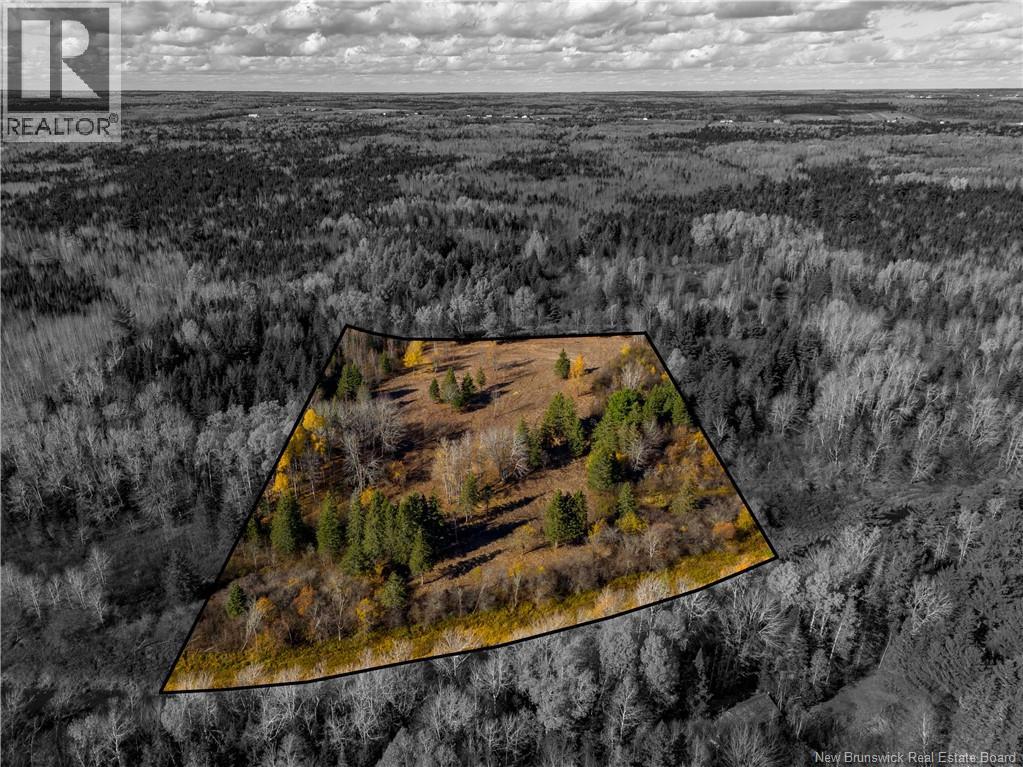 Vacant Land Sherwood Road, Sainte-Marie-De-Kent, New Brunswick  E4S 2L8 - Photo 4 - NB130532