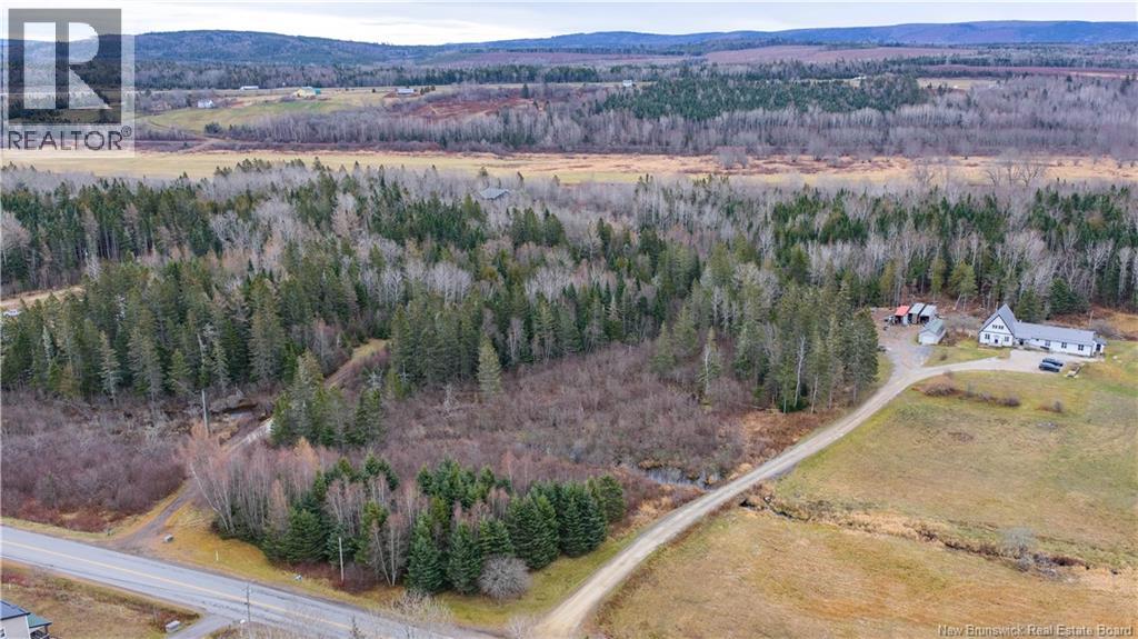 Lot 2019-1 Route 121, Bloomfield, New Brunswick  E5N 4V2 - Photo 12 - NB130392