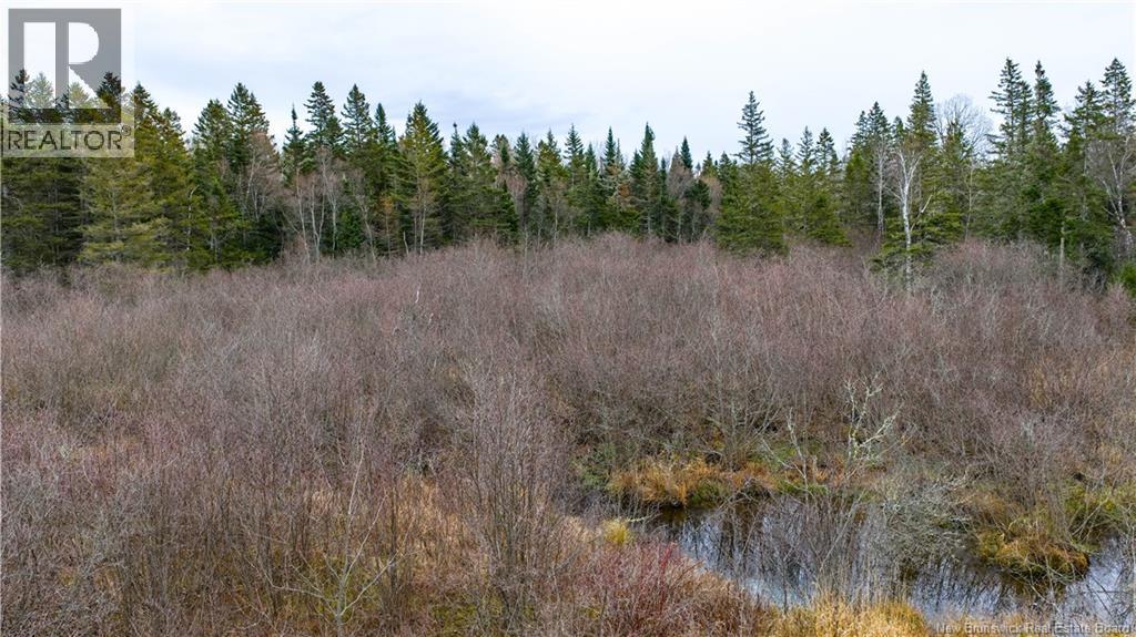 Lot 2019-1 Route 121, Bloomfield, New Brunswick  E5N 4V2 - Photo 13 - NB130392