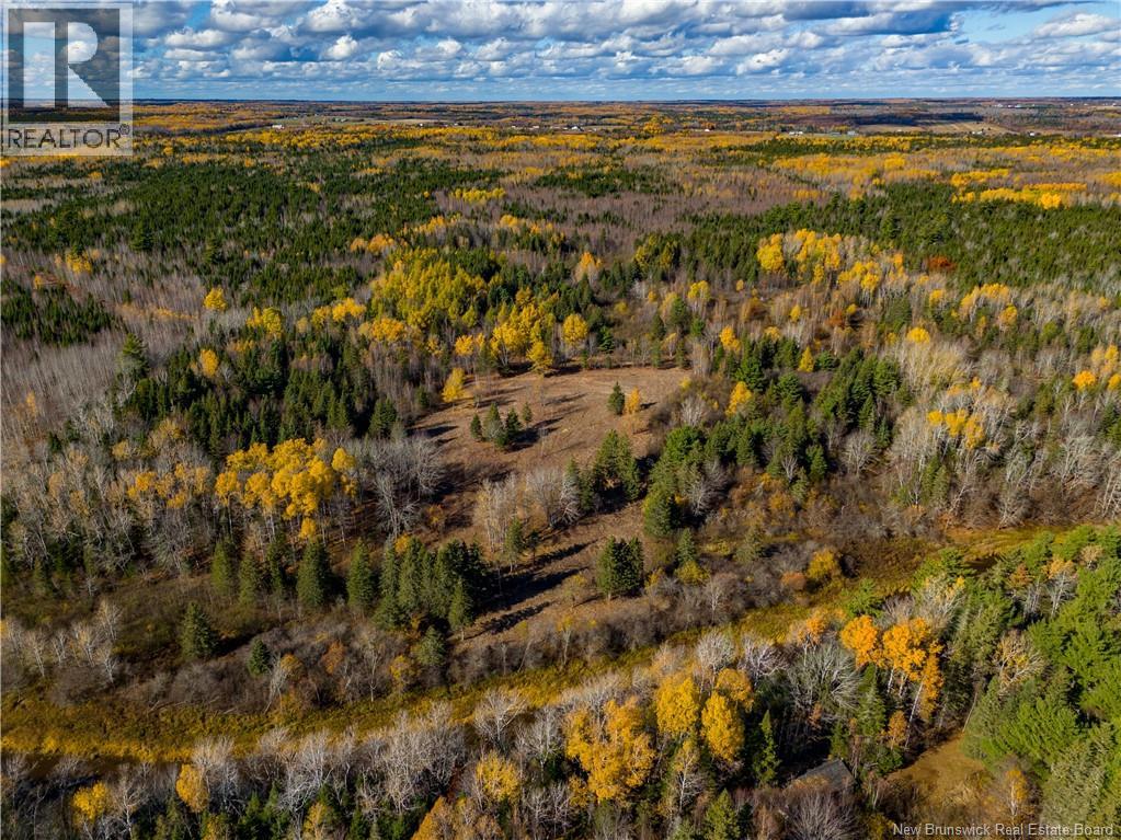 Lot D Sherwood Road, Sainte-Marie-De-Kent, New Brunswick E4S 2L8 - Photo 6 - NB130633
