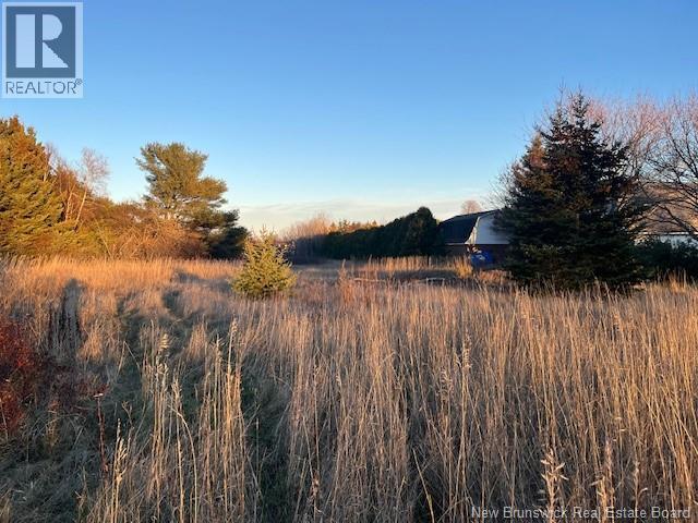 Lot Rue Principale, Tracadie, New Brunswick  E1X 1E3 - Photo 2 - NB130558