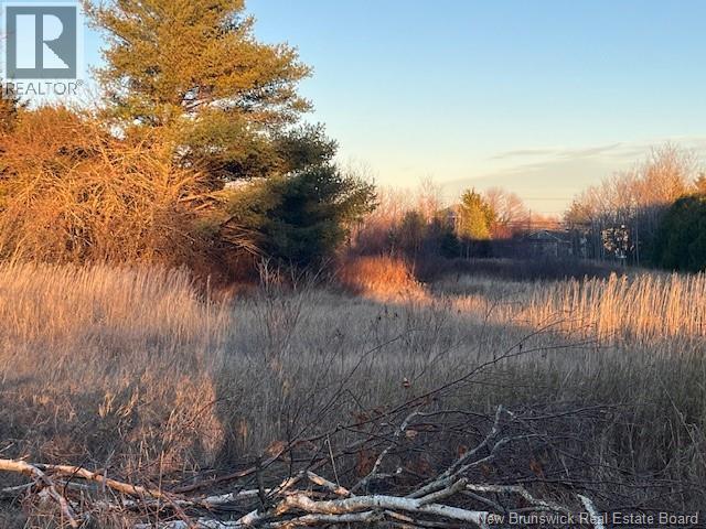 Lot Rue Principale, Tracadie, New Brunswick  E1X 1E3 - Photo 3 - NB130558