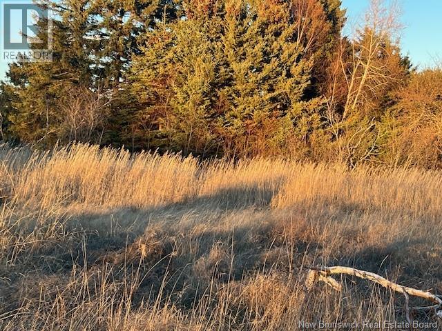 Lot Rue Principale, Tracadie, New Brunswick  E1X 1E3 - Photo 4 - NB130558